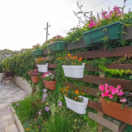 Village Holiday Apartman With Heated Pool Maslina Kostanje エクステリア 写真